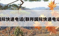 联邦国际快递电话(联邦国际快递电话多少)